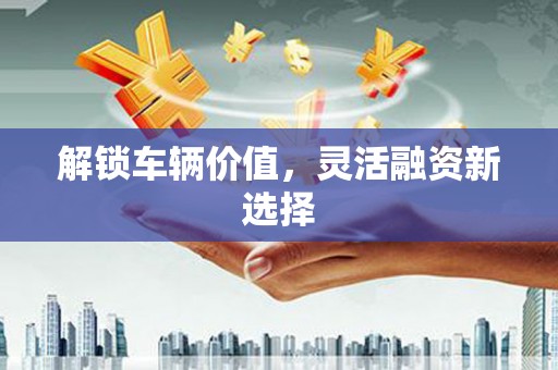 随州解锁车辆价值，灵活融资新选择