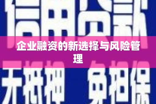 随州企业融资的新选择与风险管理