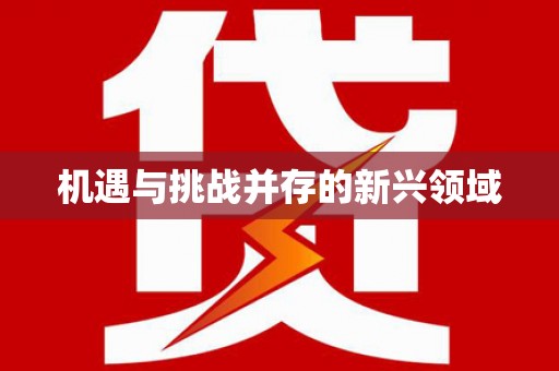 随州机遇与挑战并存的新兴领域