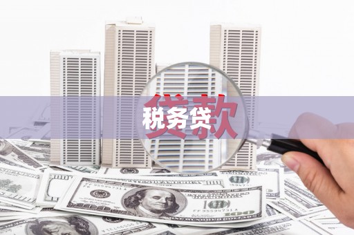 随州税务贷