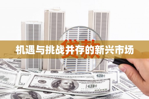 随州机遇与挑战并存的新兴市场