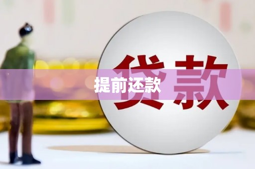 随州提前还款