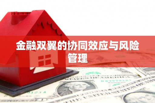随州金融双翼的协同效应与风险管理