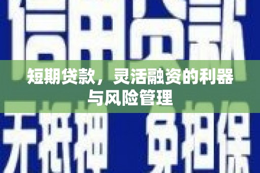 随州短期贷款，灵活融资的利器与风险管理