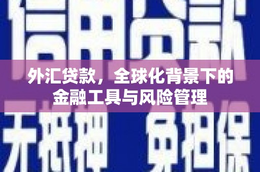 随州外汇贷款，全球化背景下的金融工具与风险管理